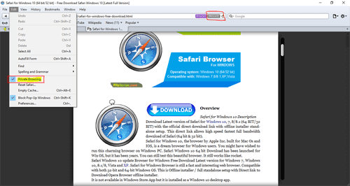 Private Browsing Safari Windows 10