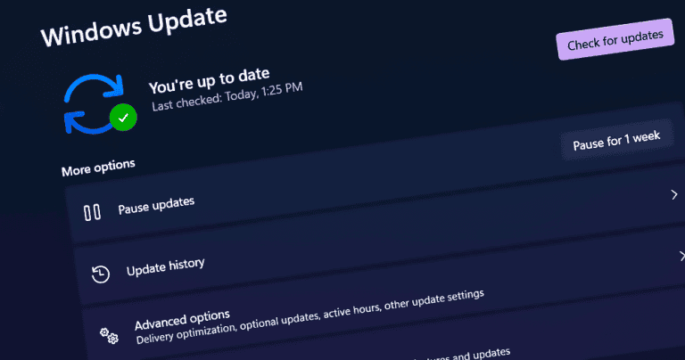Windows 11 update