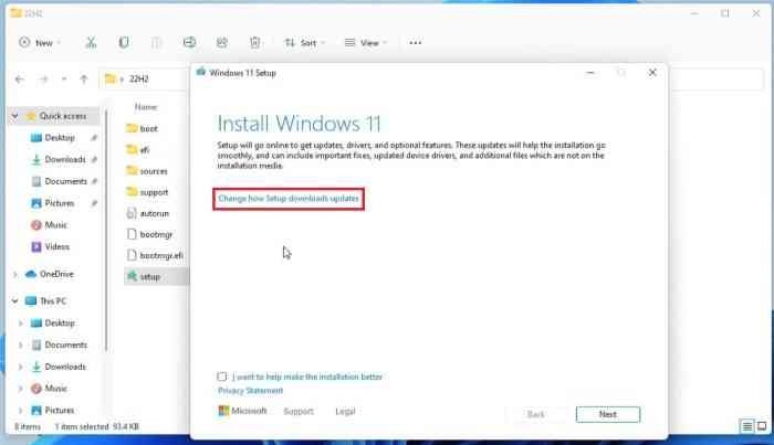 install Windows 11 setup - change how setup downloads update