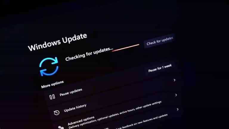 Windows 365 Switch Button Windows Update