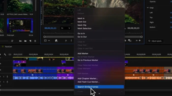Search similar frames